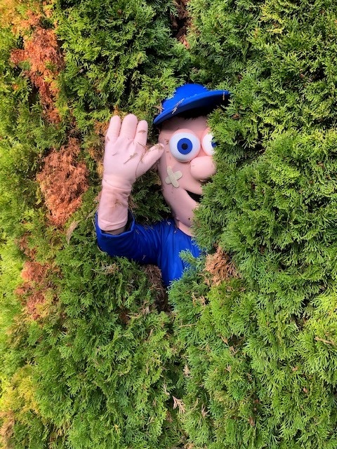 ms jalsove1 | WebJET CMS